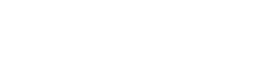 Witch City Walking Tours logo